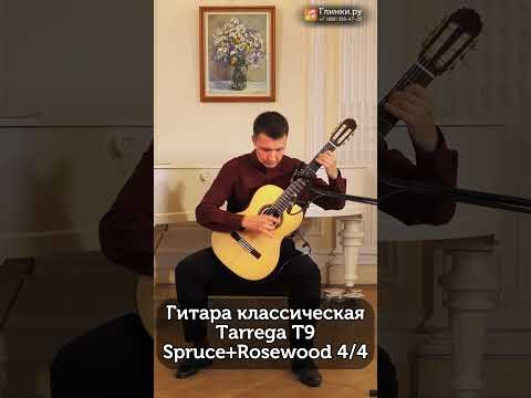 Петербургский исполнитель и преподаватель Михаил Кашеутов тестирует классическую гитару Tarrega T9S Петербургский исполнитель и преподаватель Михаил Кашеутов тестирует классическую гитару Tarrega T9S