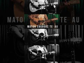 Какая твоя? | Guitar lavka