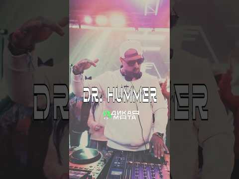 Dr.Hummer взрывает фестиваль "Дикая Мята" 2025 - не пропустите! Dr.Hummer взрывает фестиваль "Дикая Мята" 2025 - не пропустите!